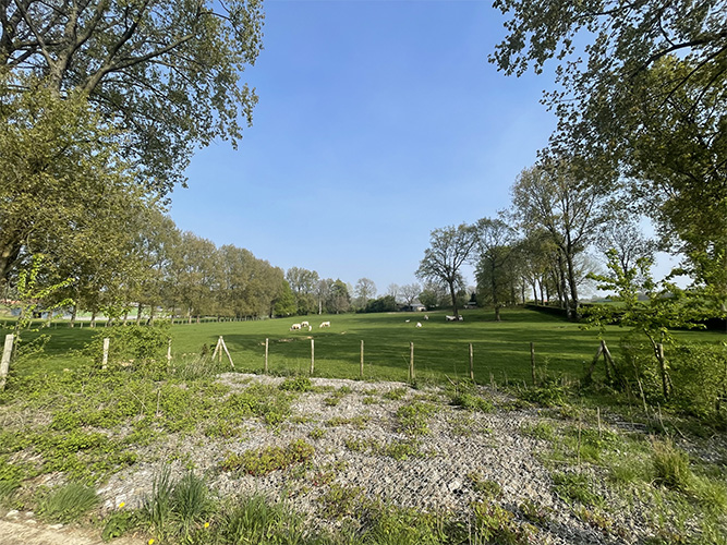 Prairie humide Bourthes (62)