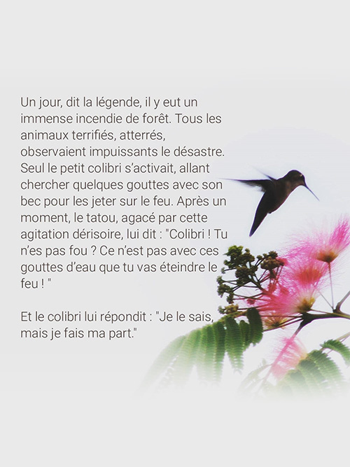 Histoire du Petit Colibri