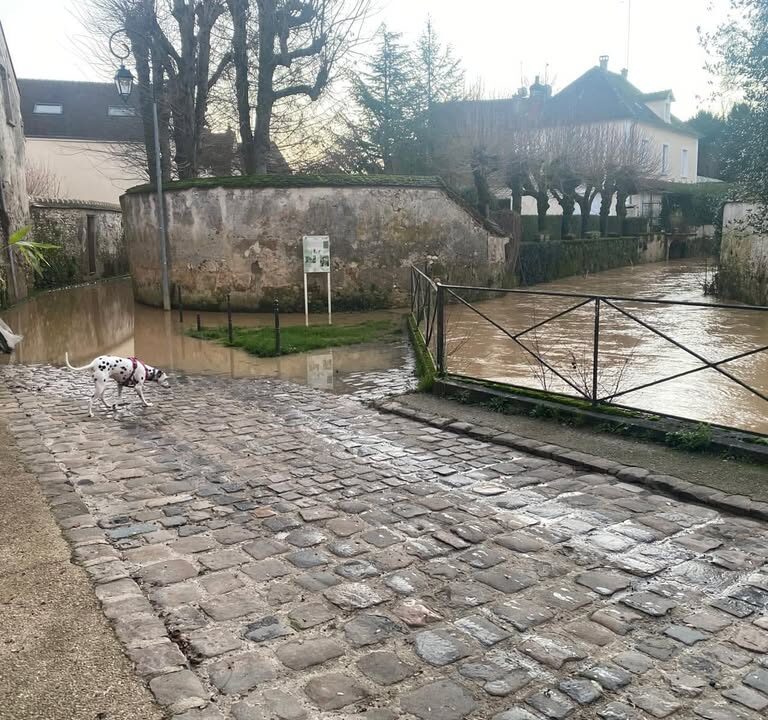 D&eacute;bordement du Morin &agrave; Cr&eacute;cy-la-Chapelle et Mouroux