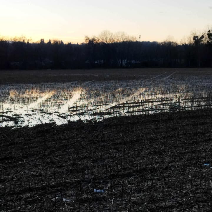 D&eacute;crue en cours : observations entre Couilly et la Marne