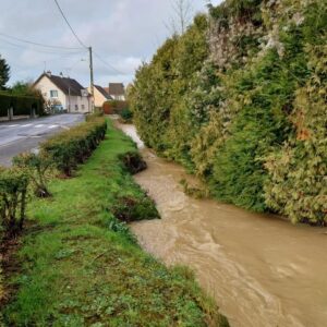 Mouroux : le Lieton grossit ce midi