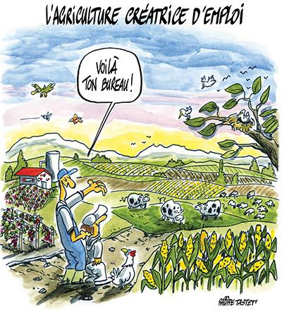 Agriculture et inondations : réponse aux critiques sur les pratiques briards