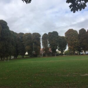 Obligations d&rsquo;entretien des berges domaniales entre Dammartin et Esbly