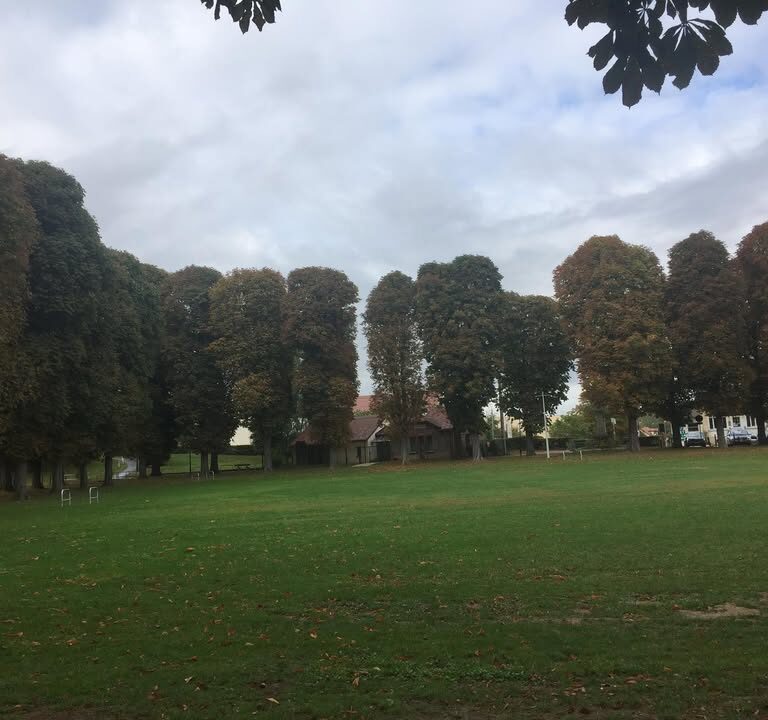 Obligations d&rsquo;entretien des berges domaniales entre Dammartin et Esbly