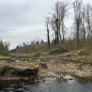 L&rsquo;entreprise admet son erreur après la coupe sauvage d&rsquo;arbres chez des riverains à Jouy-sur-Morin