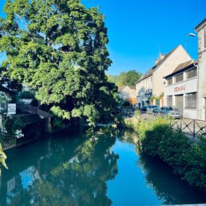 Cyanobactéries et qualité de l&rsquo;eau : vigilance estivale sur le Grand et Petit Morin