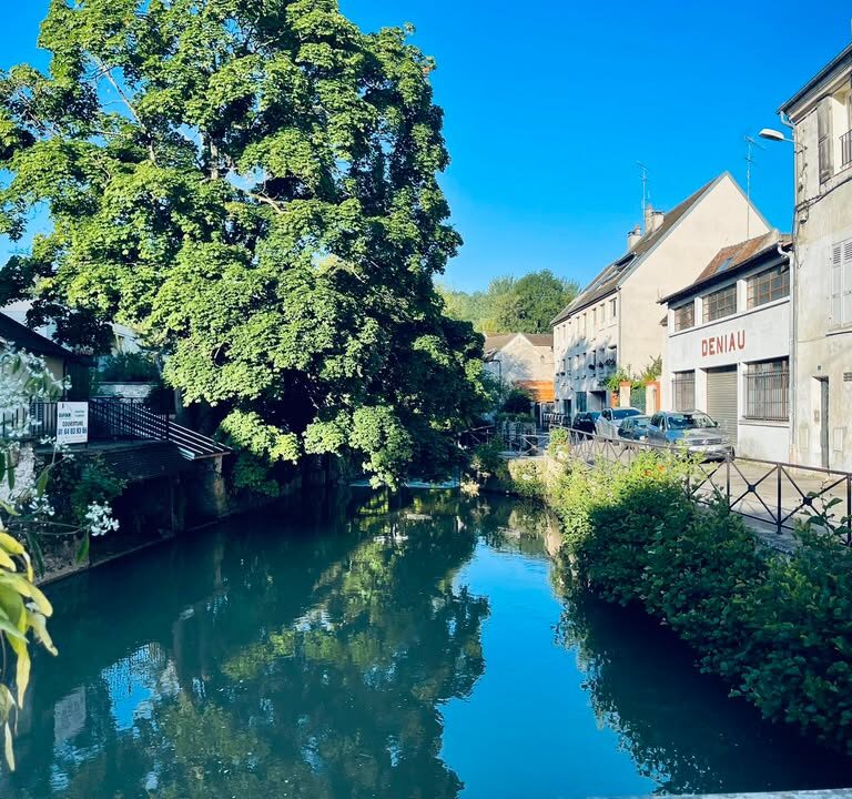 Cyanobactéries et qualité de l&rsquo;eau : vigilance estivale sur le Grand et Petit Morin