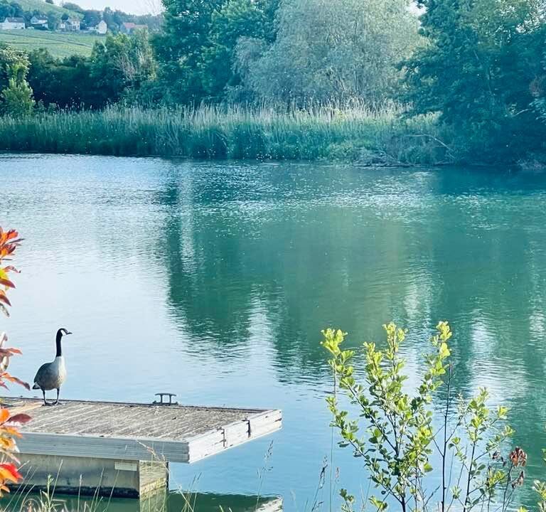 Droits et devoirs des propri&eacute;taires riverains en zone domaniale