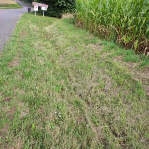 Fossés à redents à Maisoncelles : curages prévus