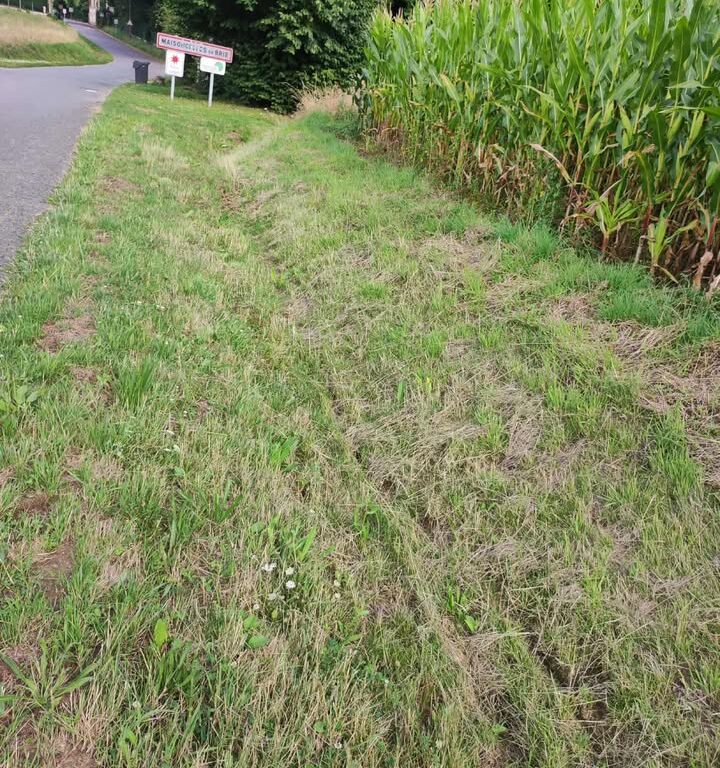 Foss&eacute;s &agrave; redents &agrave; Maisoncelles : curages pr&eacute;vus