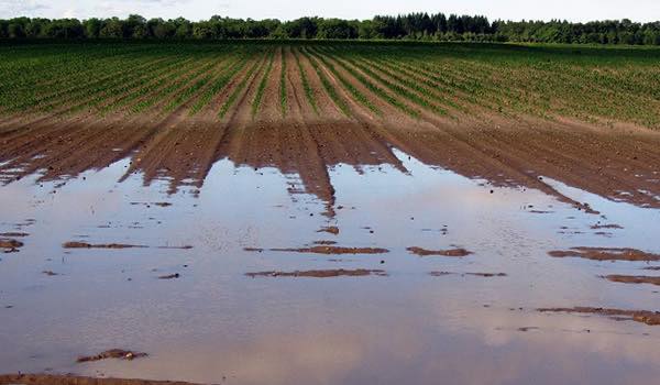 Consignes de s&eacute;curit&eacute; : comment se prot&eacute;ger en cas de crue