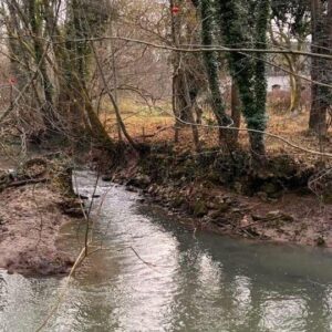 Le bief du moulin de Nageot : vestige hydraulique du Grand Morin