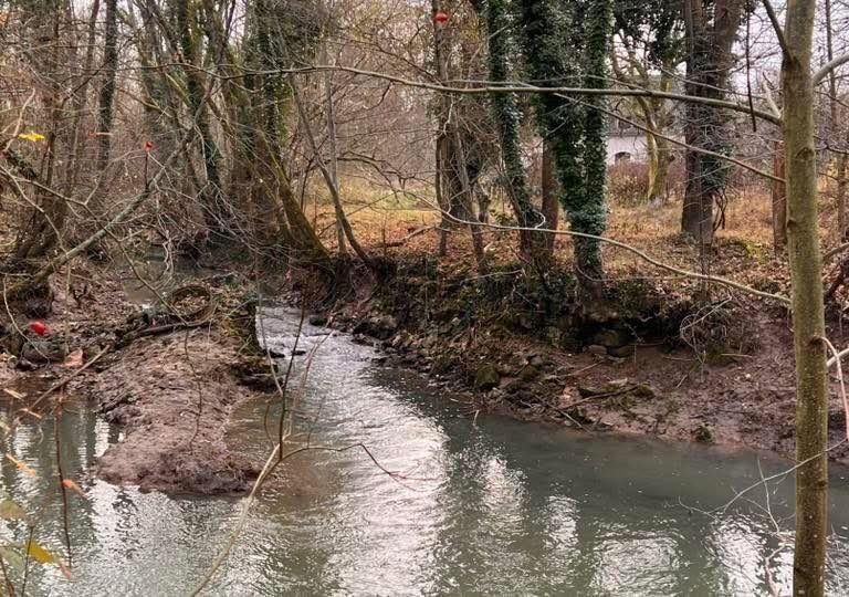 Le bief du moulin de Nageot : vestige hydraulique du Grand Morin