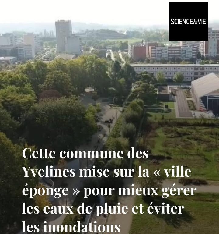 Ville &eacute;ponge : une commune des Yvelines innove contre les inondations