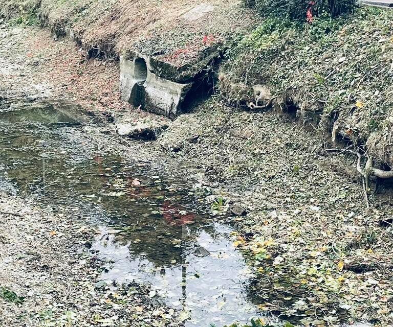 Berges d&eacute;grad&eacute;es &agrave; Cr&eacute;cy-la-Chapelle : VigiCr&eacute;cy&reg; interpelle la DDT