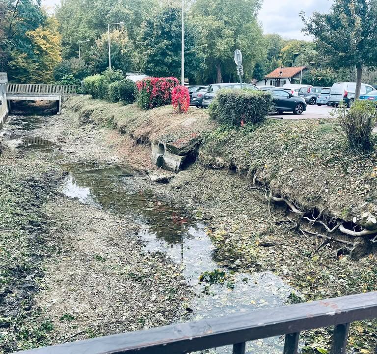 Berges fragilis&eacute;es : comment prot&eacute;ger nos rivi&egrave;res