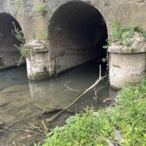 Pont-canal de Condé-Sainte-Libiaire : VigiCrécy demande un curage urgent