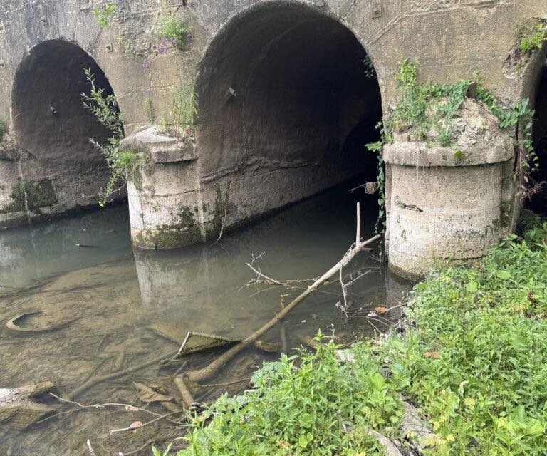 Pont-canal de Cond&eacute;-Sainte-Libiaire : VigiCr&eacute;cy demande un curage urgent