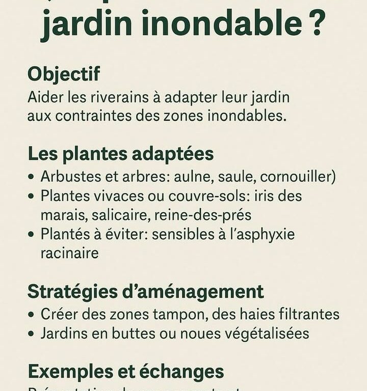 Atelier citoyen à Mouroux : entretien des berges et jardins inondables