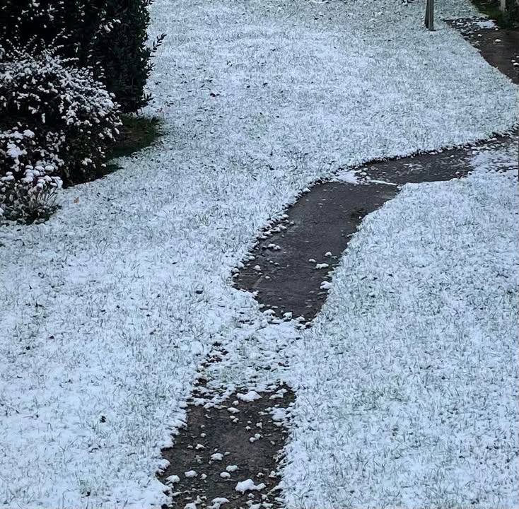 Neige et temp&eacute;ratures n&eacute;gatives : prudence sur les routes
