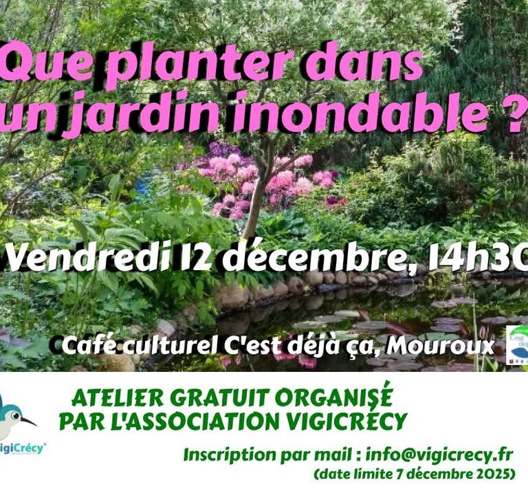Atelier VigiCr&eacute;cy : inscrivez-vous avant dimanche 7 d&eacute;cembre