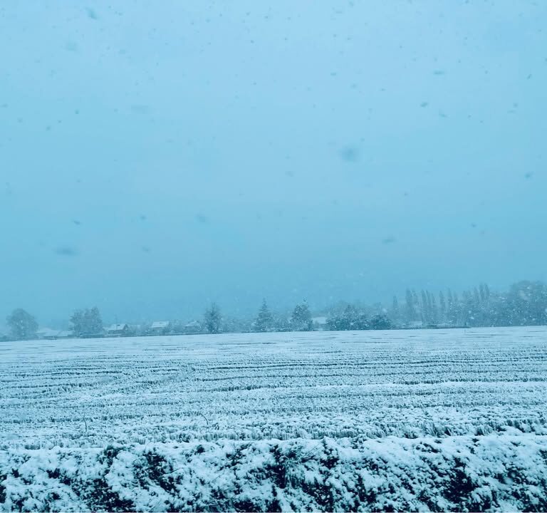 Alerte froid : -11&deg;C attendus en Seine-et-Marne mardi 6 janvier