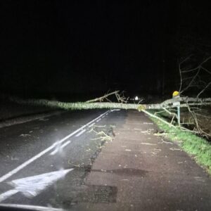 Tempête Goretti : arbres couchés et coupures d&rsquo;électricité signalés