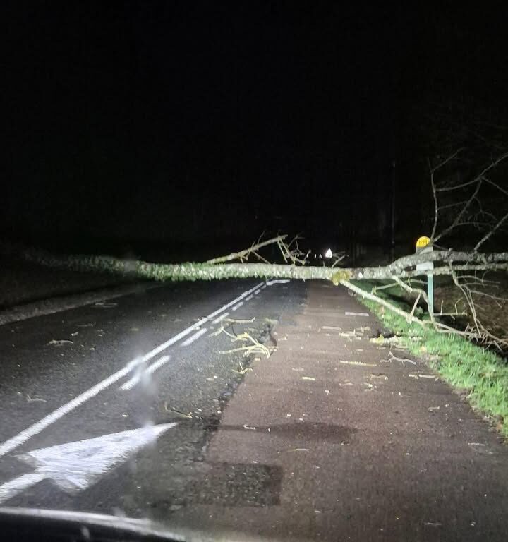 Temp&ecirc;te Goretti : arbres couch&eacute;s et coupures d&rsquo;&eacute;lectricit&eacute; signal&eacute;s