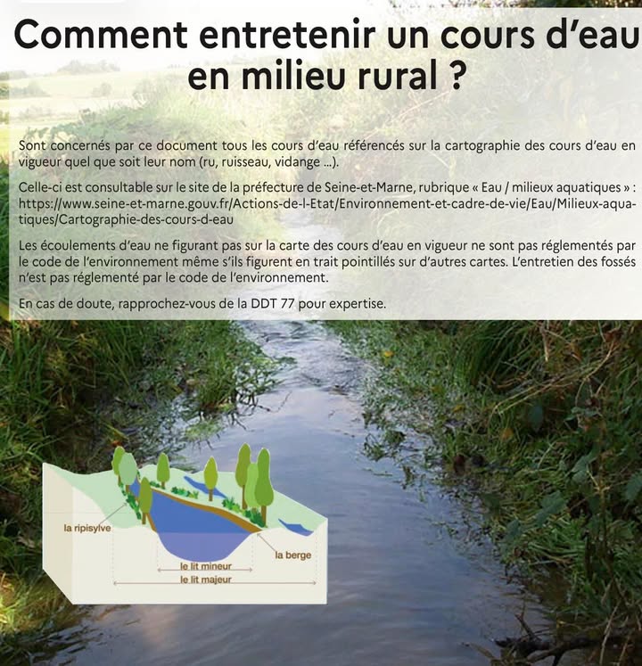 Guide pratique : comment entretenir un cours d&rsquo;eau