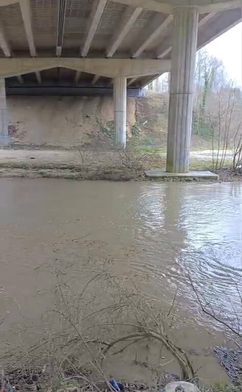 Grand Morin stable &agrave; Villiers-sur-Morin sous le pont de l&rsquo;A4