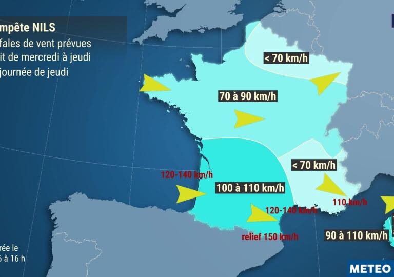 Coup de vent et temp&ecirc;te : risques de chutes d&rsquo;arbres sur le territoire