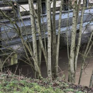 Embâcles au pont de Saint-Germain à Couilly : des solutions attendues
