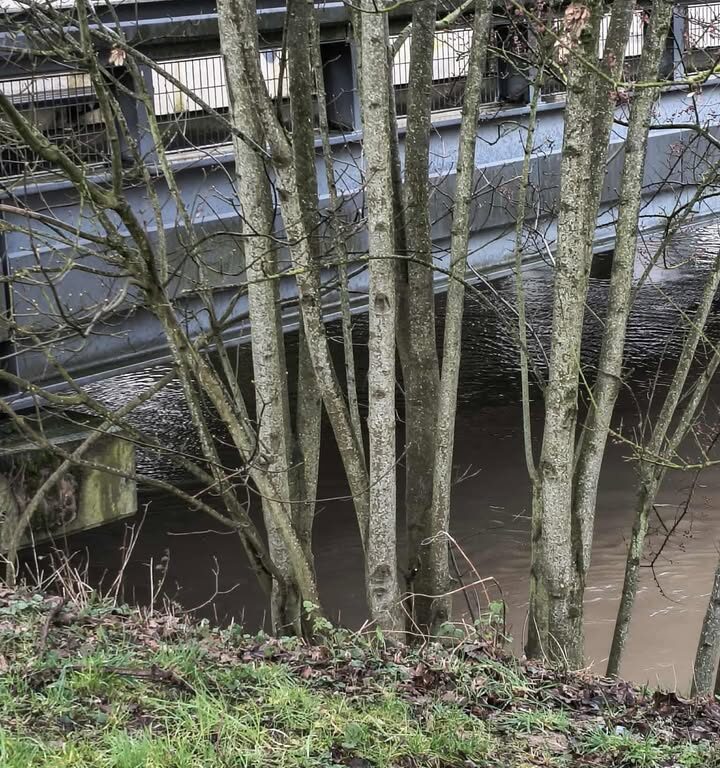 Embâcles au pont de Saint-Germain à Couilly : des solutions attendues