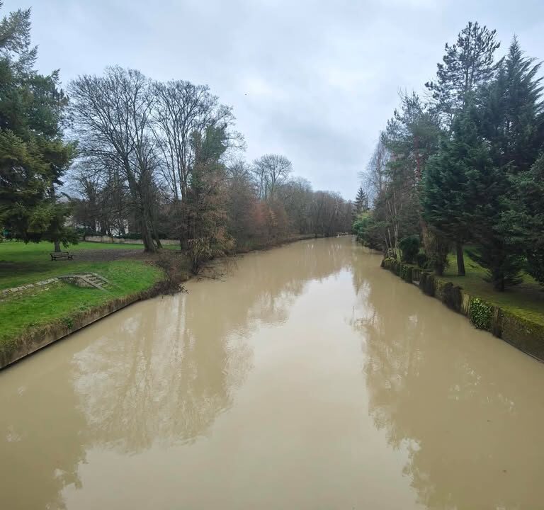 Situation normale à Couilly-Pont-aux-Dames