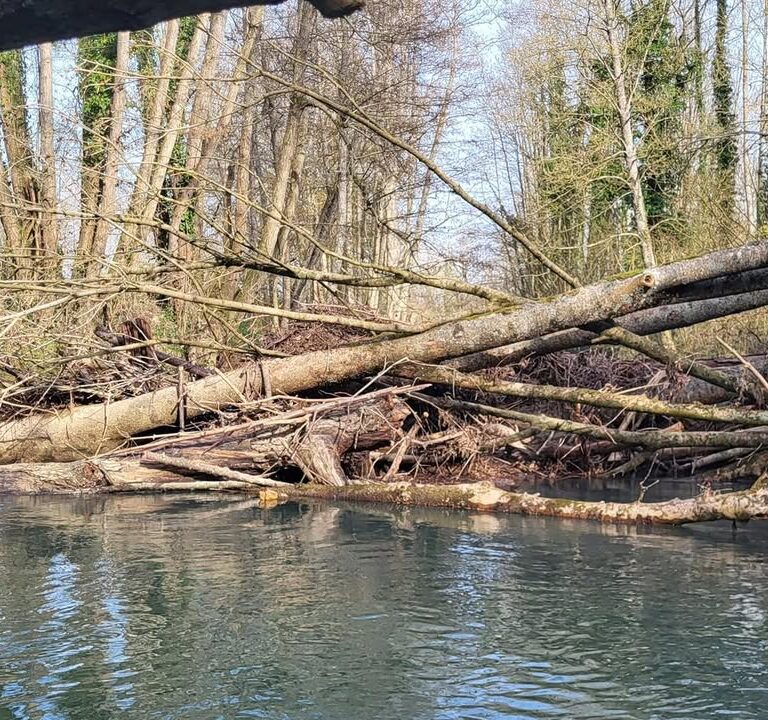 Emb&acirc;cles au pont de la Bretonni&egrave;re &agrave; Boissy-le-Ch&acirc;tel
