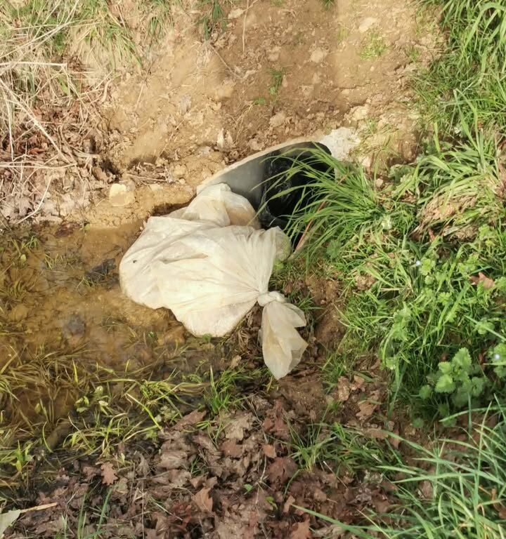 Obstruction du ru du Pré du Marais : enquête et mise en garde
