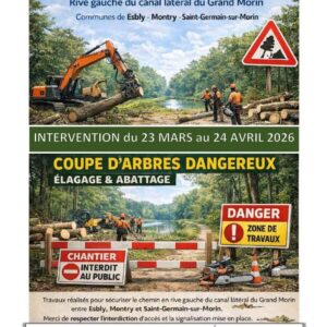 Coupe d&rsquo;arbres prévue en mars 2026 sur trois communes