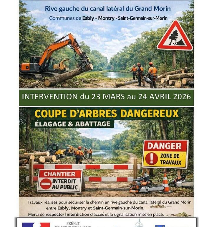 Coupe d&rsquo;arbres prévue en mars 2026 sur trois communes