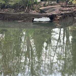 Effondrement du vannage du Moulin Guillaume à Villiers-sur-Morin