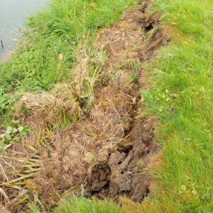 Berges du Grand Morin : comment réagir face aux fissures et affaissements
