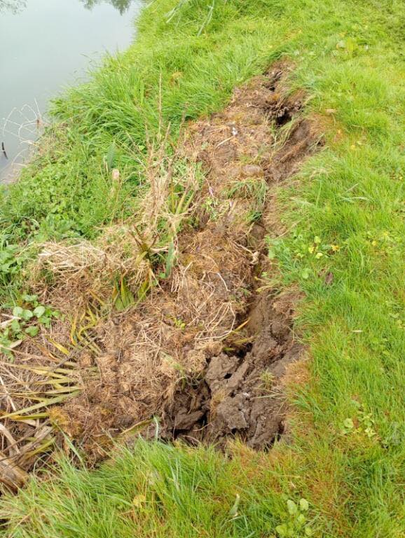 Berges du Grand Morin : comment réagir face aux fissures et affaissements