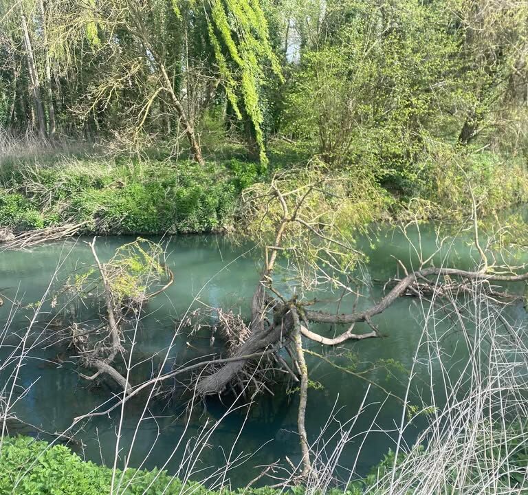 Curage des cours d&rsquo;eau : entretenir oui, curer partout non