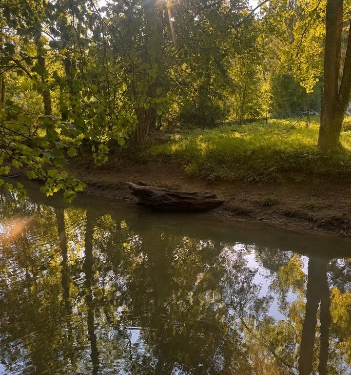 Canicule&nbsp;: quand nos rivi&egrave;res ont soif des nappes souterraines