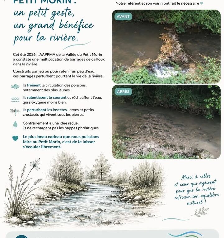 S&eacute;cheresse&nbsp;: le Petit Morin fragilis&eacute; par les obstacles &agrave; son &eacute;coulement