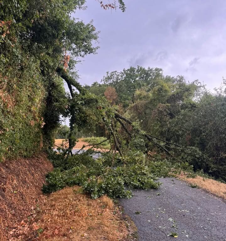 Orage du 27 ao&ucirc;t &agrave; Villeneuve-sur-Bellot&nbsp;: coupures de courant et d&eacute;g&acirc;ts