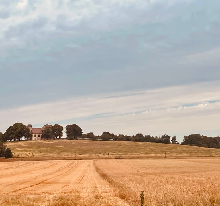 S&eacute;cheresse et inondations&nbsp;: adapter l&rsquo;agriculture au nouveau climat