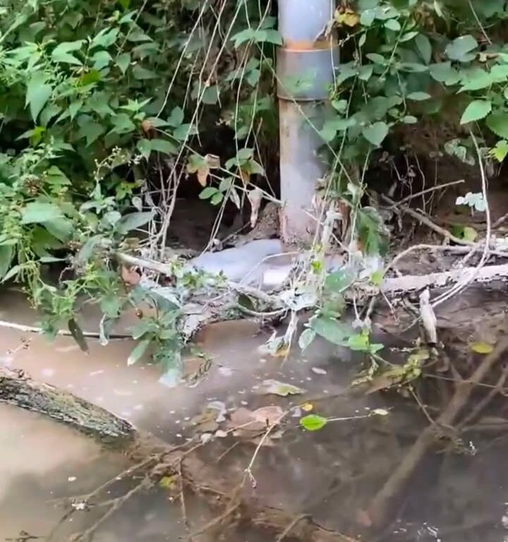 Pollution du Grand Morin&nbsp;: un signalement citoyen pris en compte