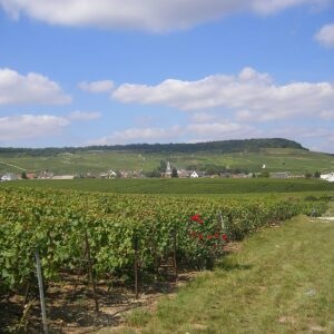 Blancs-Coteaux