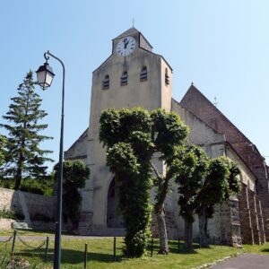 Verdelot